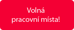 Volná pracovní místa